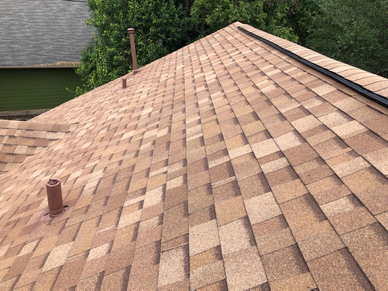 Shingle Comparisons